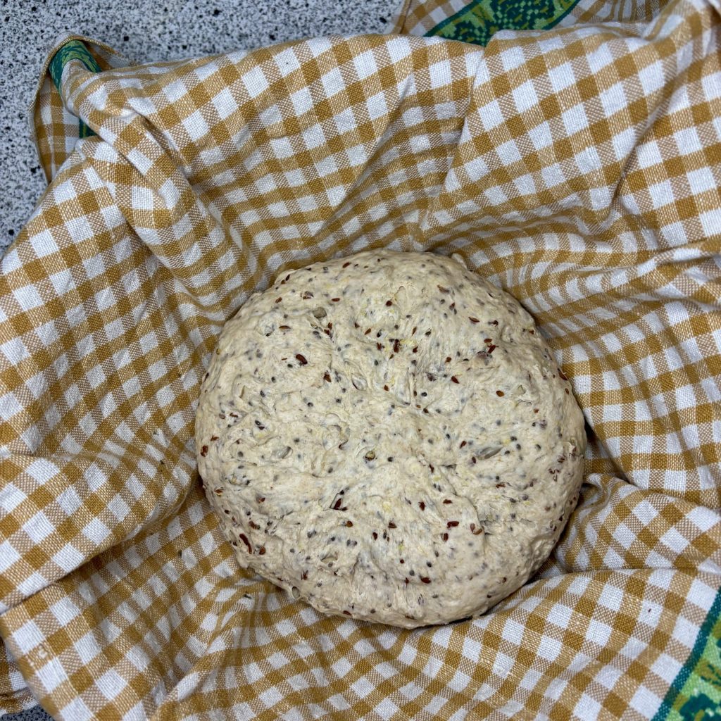 A round loaf of bread dough resting in a checked cloth-lined basket, with a textured surface and visible seeds.
