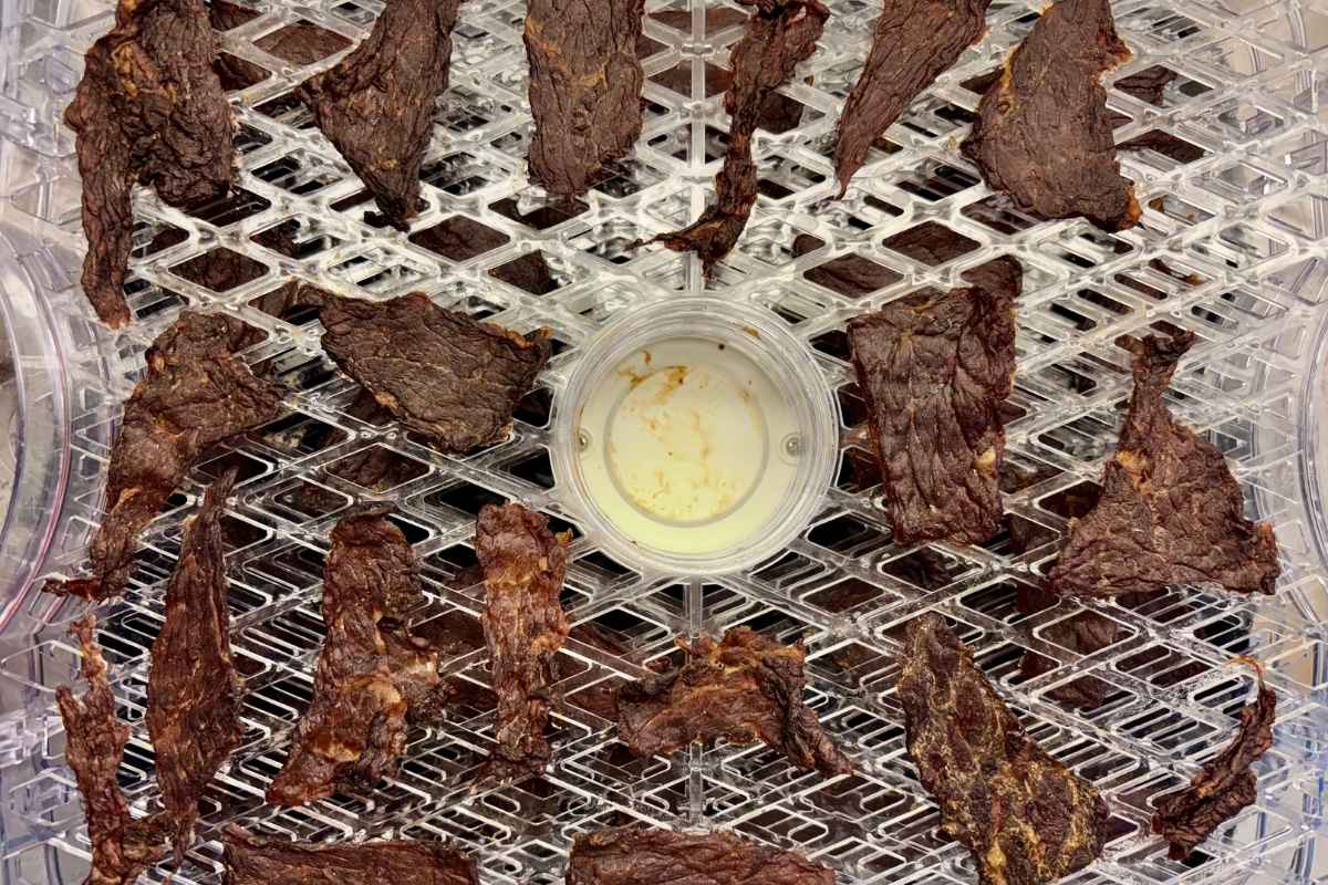 Beef Jerky selber machen – ohne Zucker aus dem  Dörrautomaten