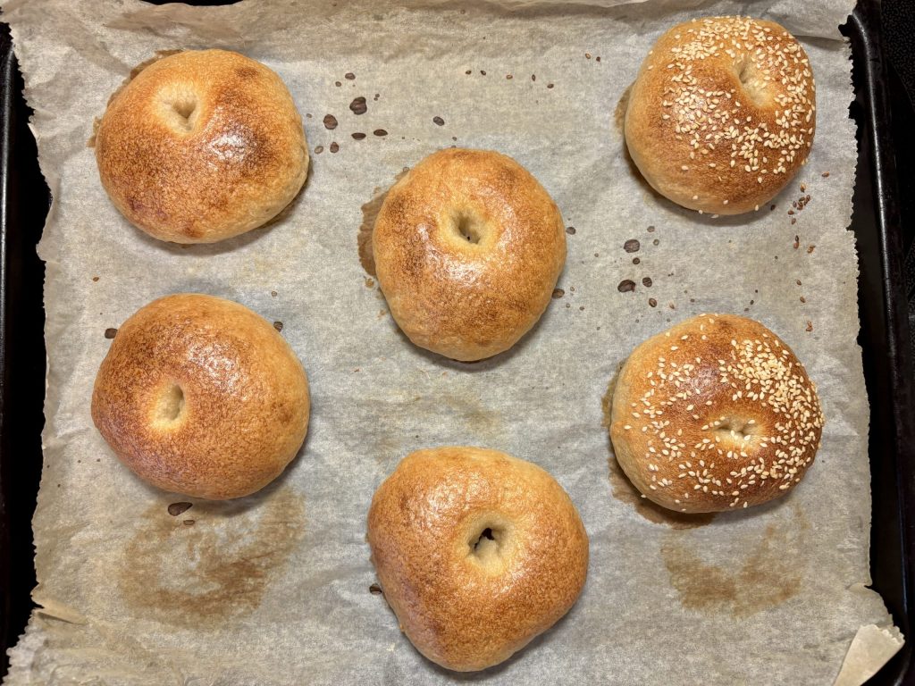 Sechs frisch gebackene Bagels auf Backpapier, einige mit Sesam bestreut.
