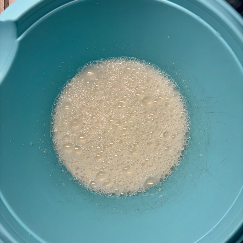 Sauerteigstarter mit Wasser verrührt mit Bläschen in Schüssel
