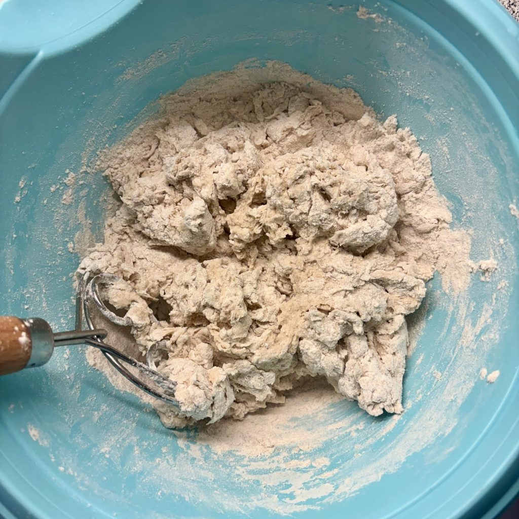 Grob gemischter Sauerteig Teig mit dunklem Mehl