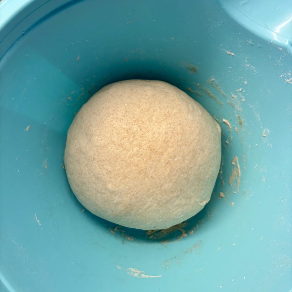 Sauerteig Teigkugel nach dem Kneten (dunkles Mehl)
