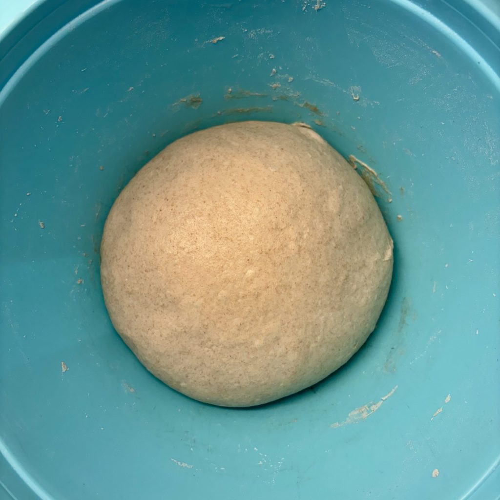 Gekneteter Sauerteig Teig mit dunklem Mehl als Kugel