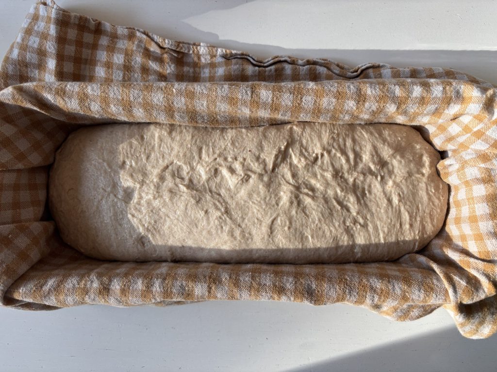 Sauerteig Teigling mit dunklem Mehl im Tuch während der Gare