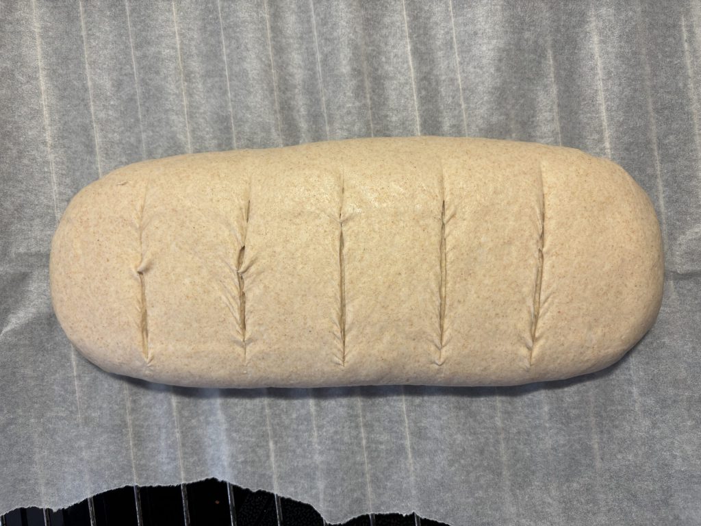 Eingeschnittener Teig für Sauerteigbrot mit dunklem Mehl