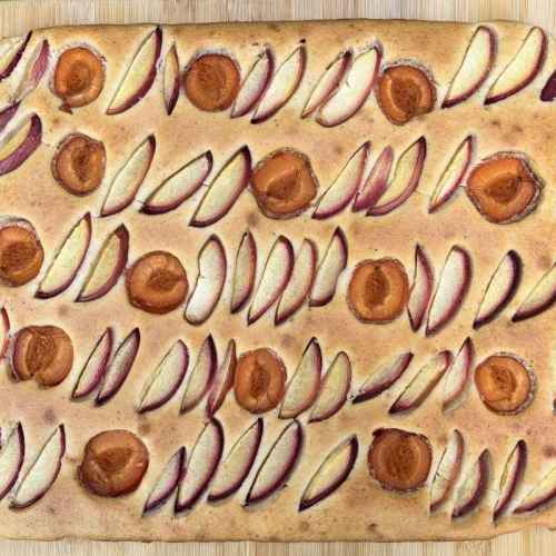 Sauerteig Blechkuchen mit Aprikosen und Nektarinenspalten, frisch gebacken auf einem Holzbrett im Garten fotografiert.