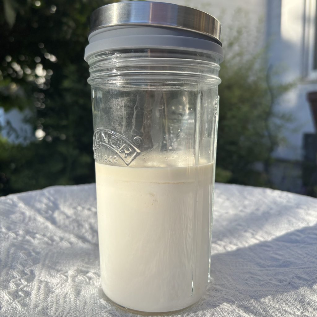 Glas mit selbstgemachtem Milchkefir im Garten
