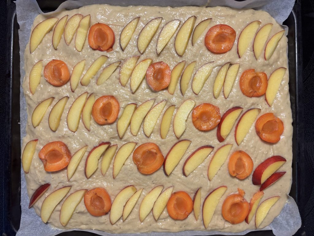 Frisch gebackener Sauerteig Blechkuchen mit Aprikosen und Nektarinen auf dem Blech
