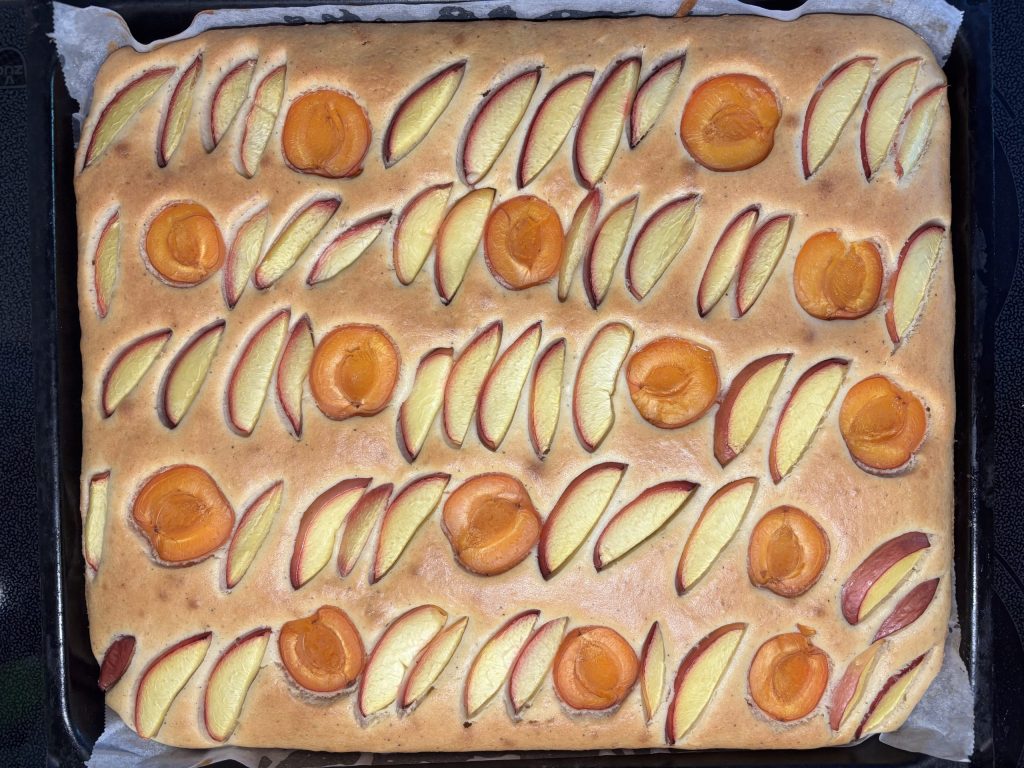 Sauerteig Blechkuchen mit Aprikosen und Nektarinenspalten auf einem Backblech