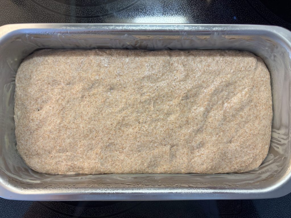 Vollkorn-Sauerteig im Kasten nach der Gehzeit