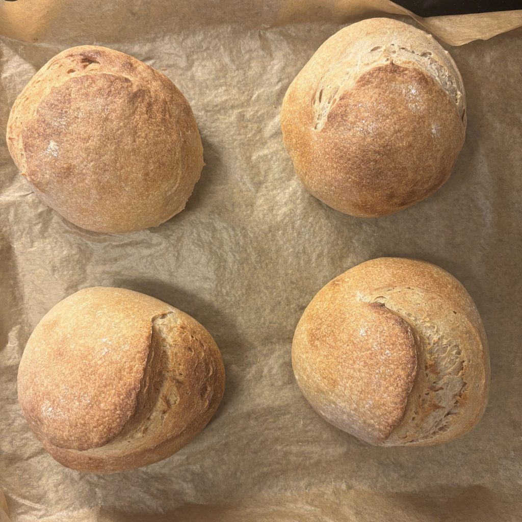 Fertig gebackene Brot Bowls mit Sauerteig auf dem Backblech